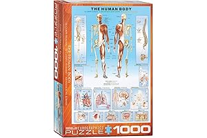 EuroGraphics Human Body Life-Sized Floor Puzzle (1000 pieces)