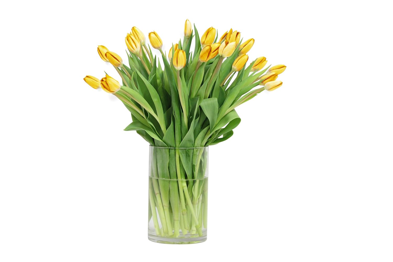 Yellow Tulip Bouquet (30 Stems) - The KaBloom Collection Flowers With Vase