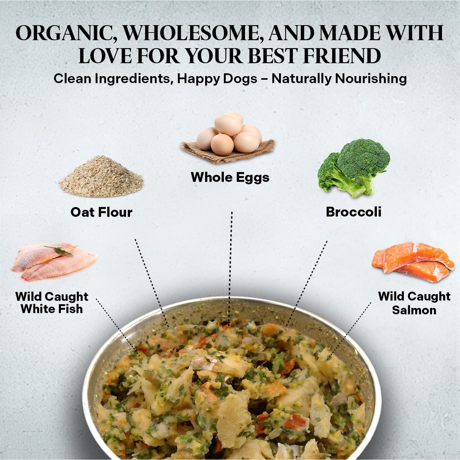 Healthy Dogma - PetMix Dehydrated Dog Food – Fish Dinner with Wild-Caught Alaskan Salmon & Whitefish – Clean Ingredient Dog Food – No Preservatives 10lbs (Bucket)