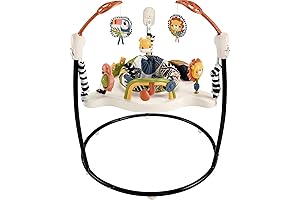 Baby Bouncer: Fisher-Price Palm Paradise Jumperoo Activity Center