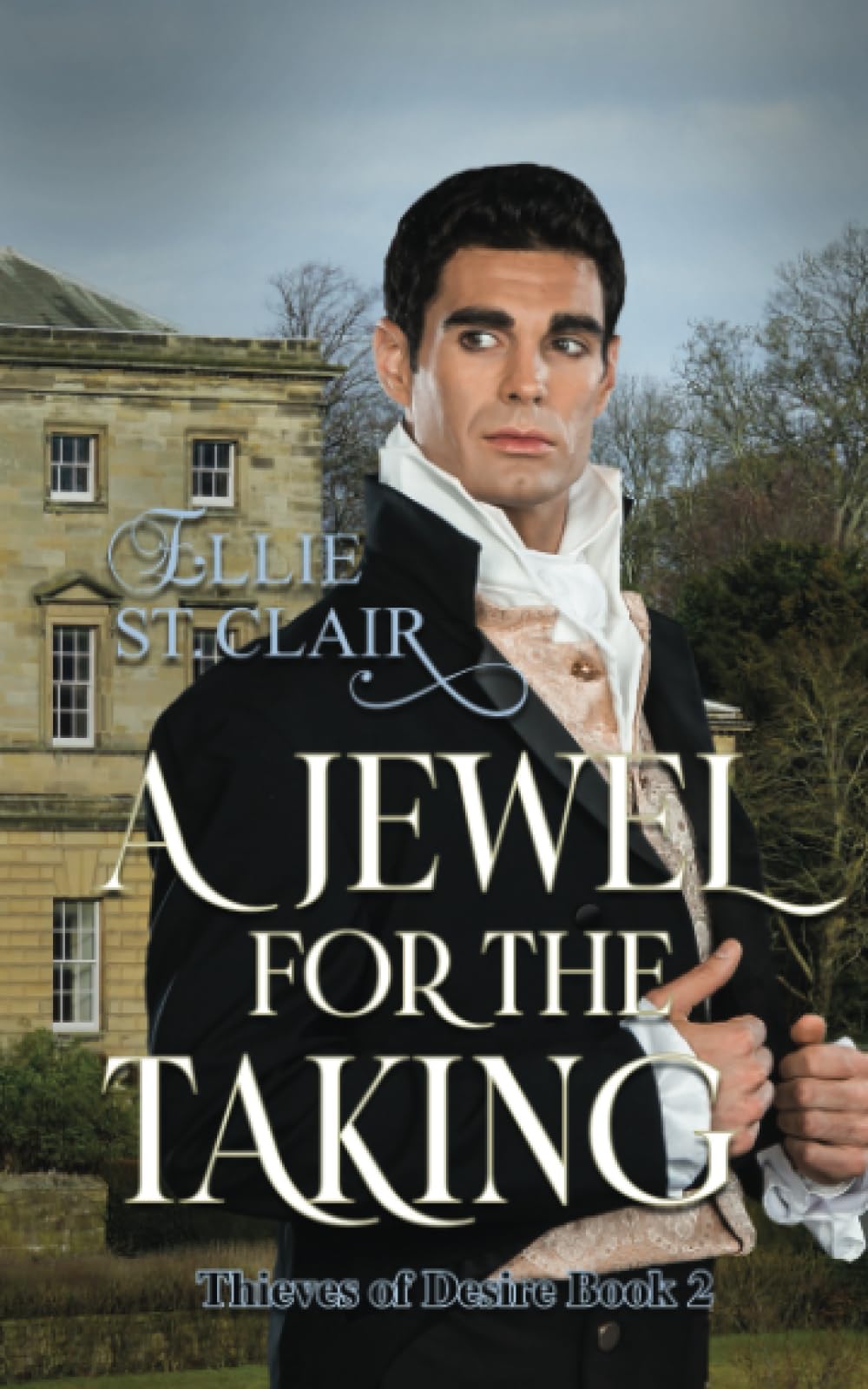 A Jewel for the Taking: A Historical Regency Romance: 2 (Thieves of Desire)