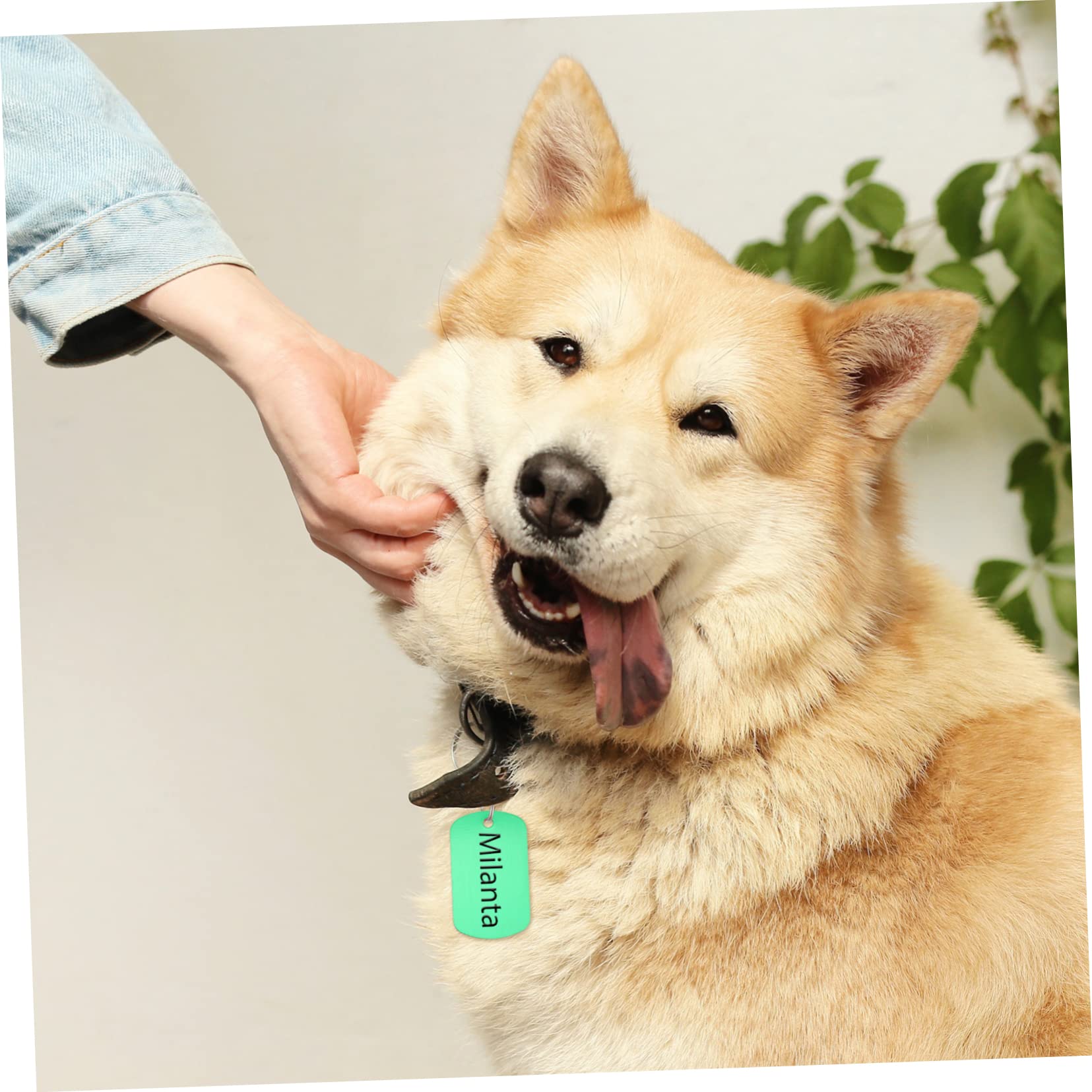 FOMIYES 120piezas Etiquetas De Identificación Para Mascotas Placas De Perro De Aleación Para Personalizar y Proyectos De Manualidades Etiquetas Duraderas y Ligeras Para Perros y Gatos