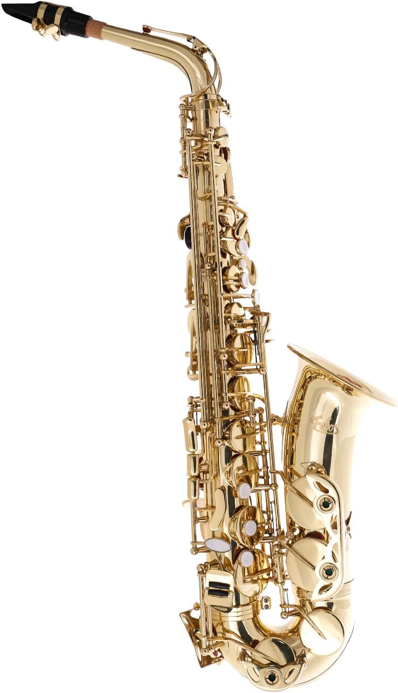 Professional Saxophone Alto Sax Gold Laquer Finish,11 Reeds,Low Bb to High F#,Foambody Case (FSP-A21)
