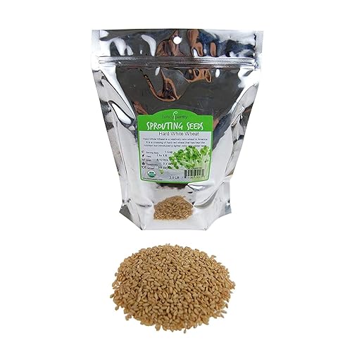 Granos de trigo integral orgánico sin OMG de 2.5 libras, grano de trigo blanco duro y semillas de trigo de reliquia para semillas de bayas de trigo