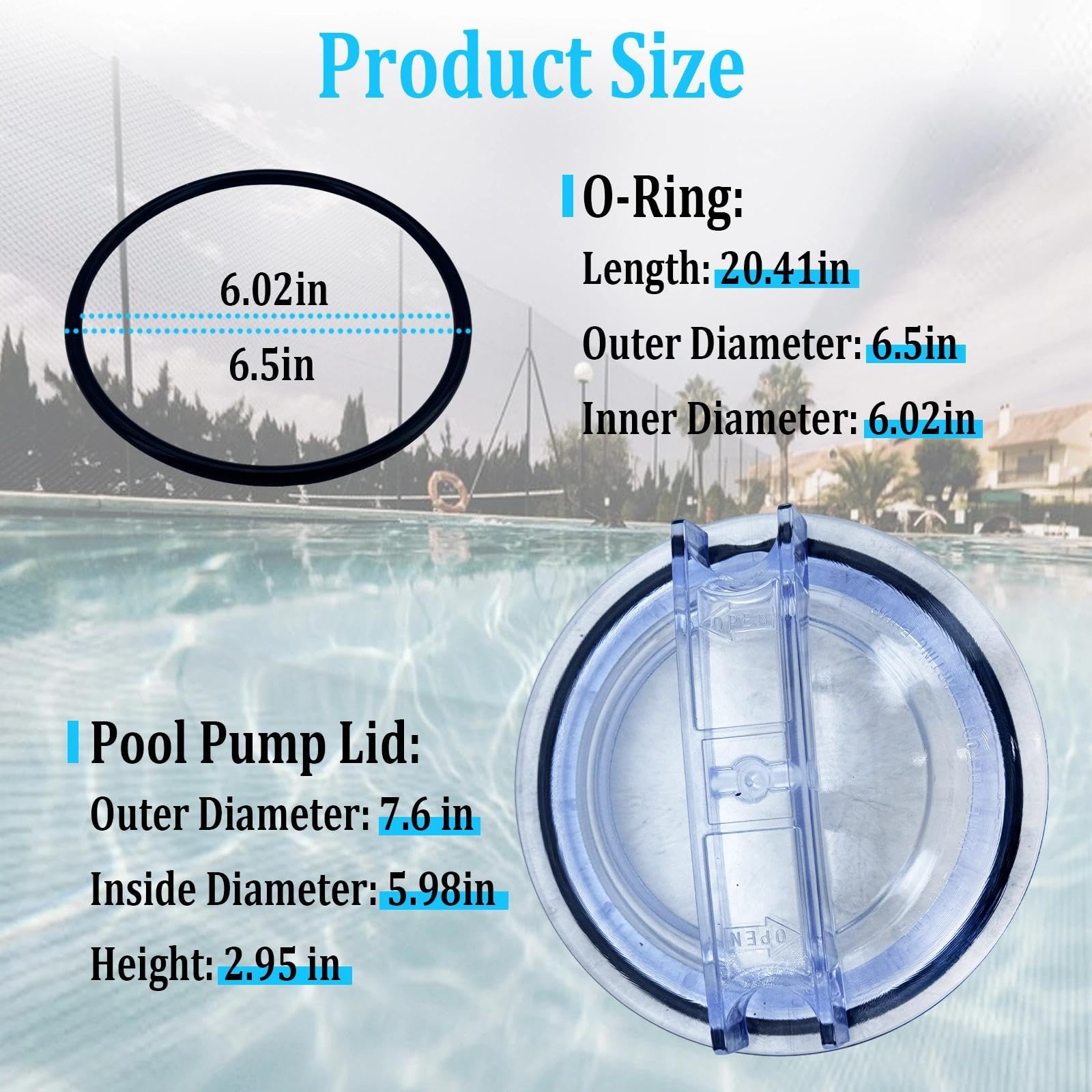 SPX3100D Couvercle fileté de rechange pour pompe de piscine avec joint torique