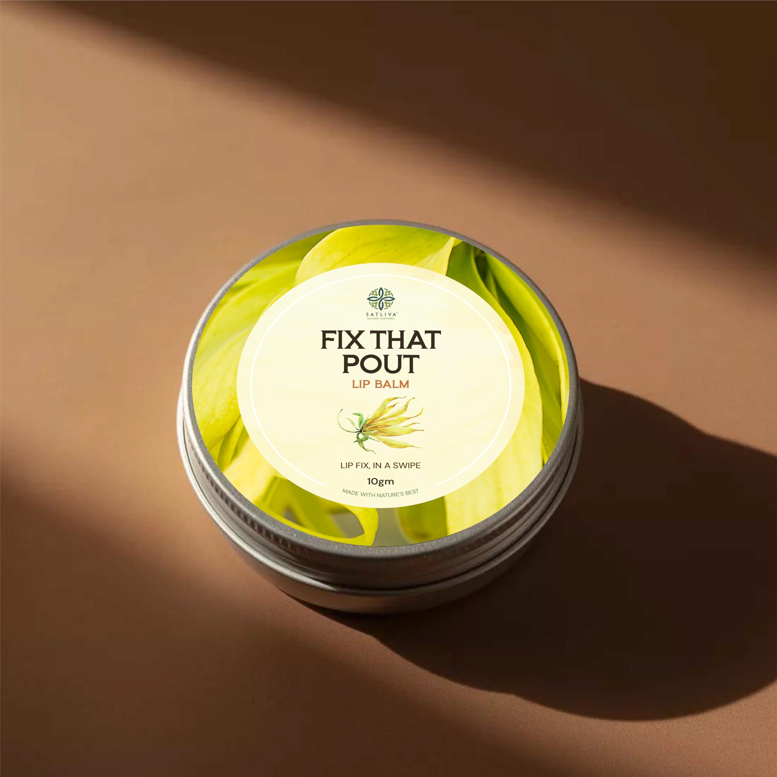 Satliva Fix That Pout Lip Balm | Natural Lip Repair Balm for Dry & Cracked Lips | Deep Moisture & Smooth Finish (10gm)-image-34