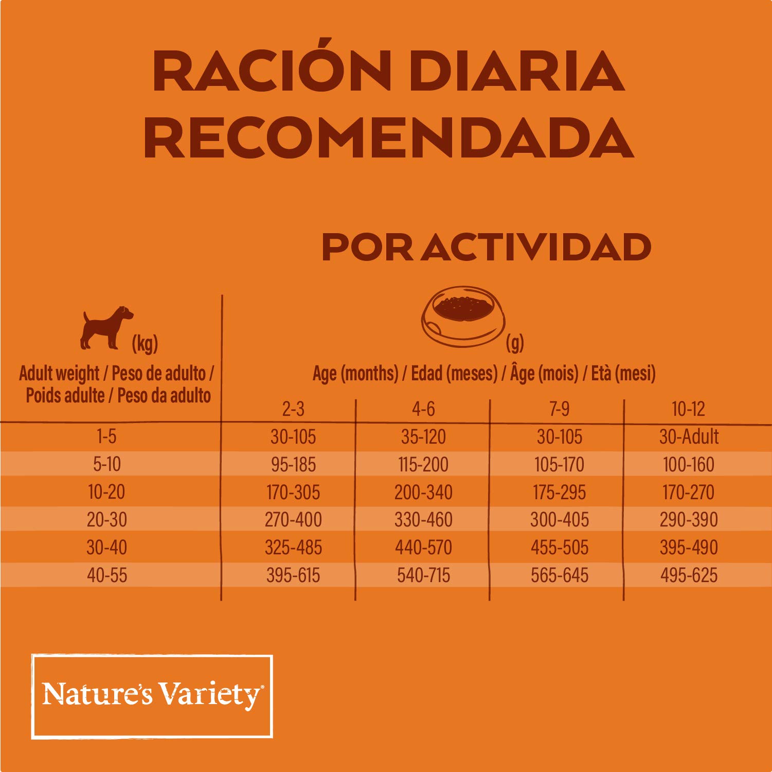 Nature's Variety Original No Grain, Pienso para Perros Junior de todos los tamaños, Sin cereales, con Salmón sin espinas, 12kg