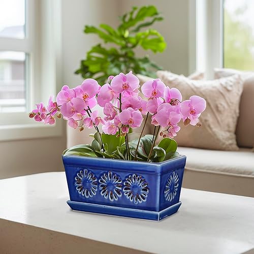 Miniatura 2 de EFISPSS Maceta de orquídea de 10 pulgadas, macetas de cerámica para orquídeas con agujeros, macetas de interior con drenaje y platillo, macetas para