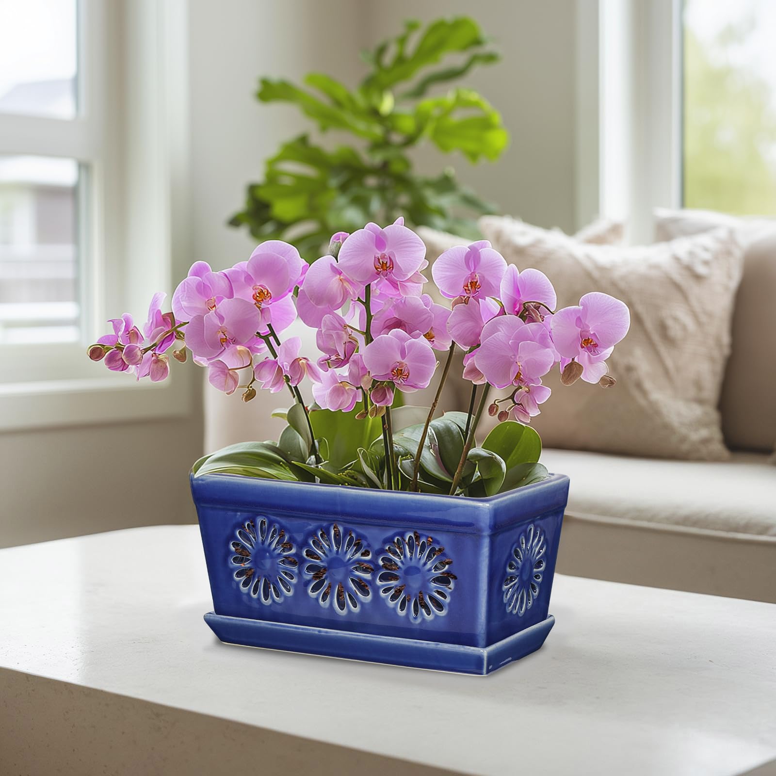 EFISPSS 25,4 cm Orchideentopf, Keramik-Orchideentöpfe mit Löchern, Indoor-Blumentöpfe mit Drainage und Untersetzer, Pflanztöpfe verbessern gute Belüftung, Blau
