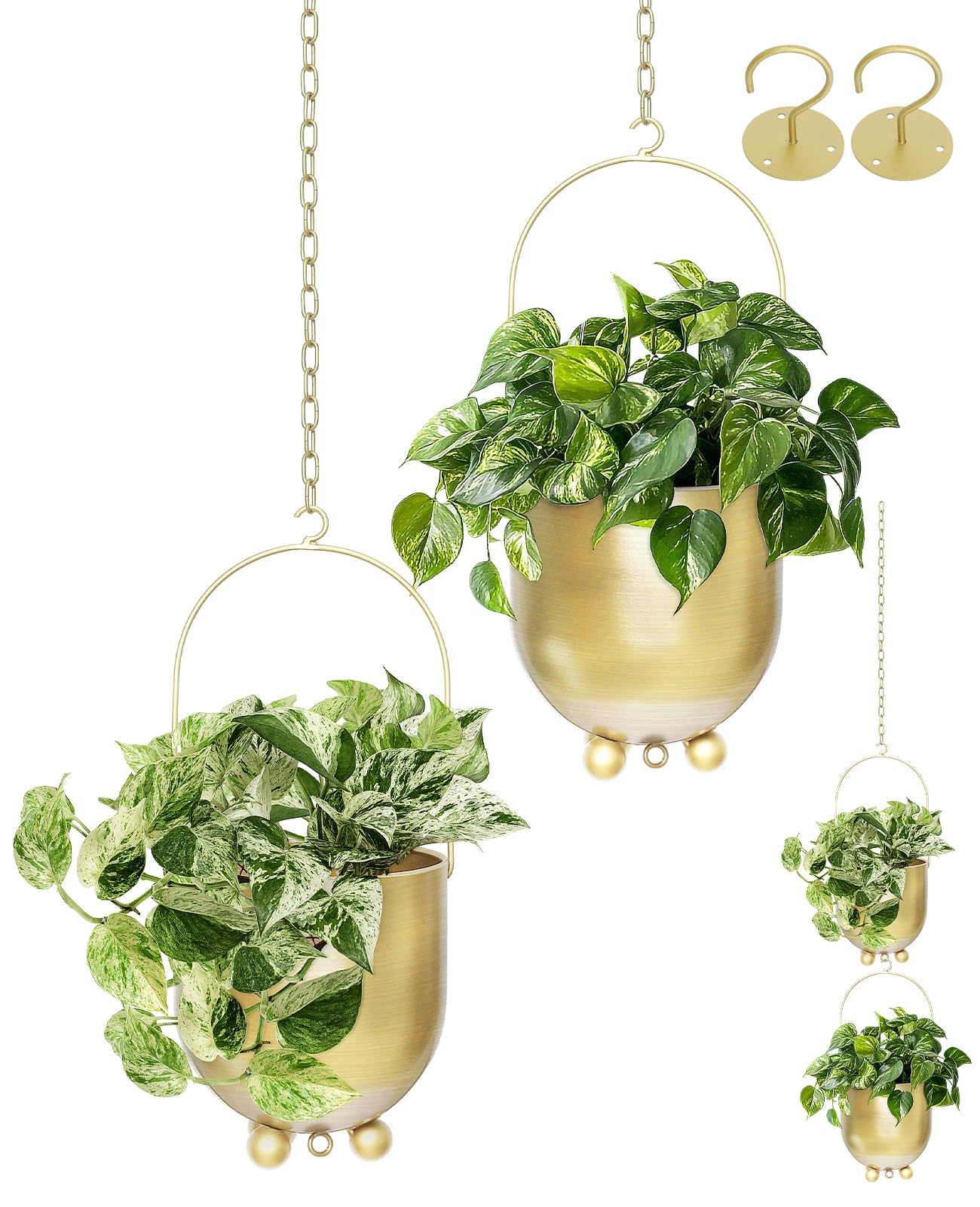 Pots de fleurs pour mur et plafond de 16 cm : le set de suspensions AceList