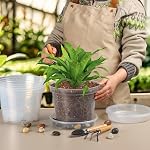 BTPLASTIK Clear Nursery Pots with Drainage Holes (Clear, 8 Inch-7P)