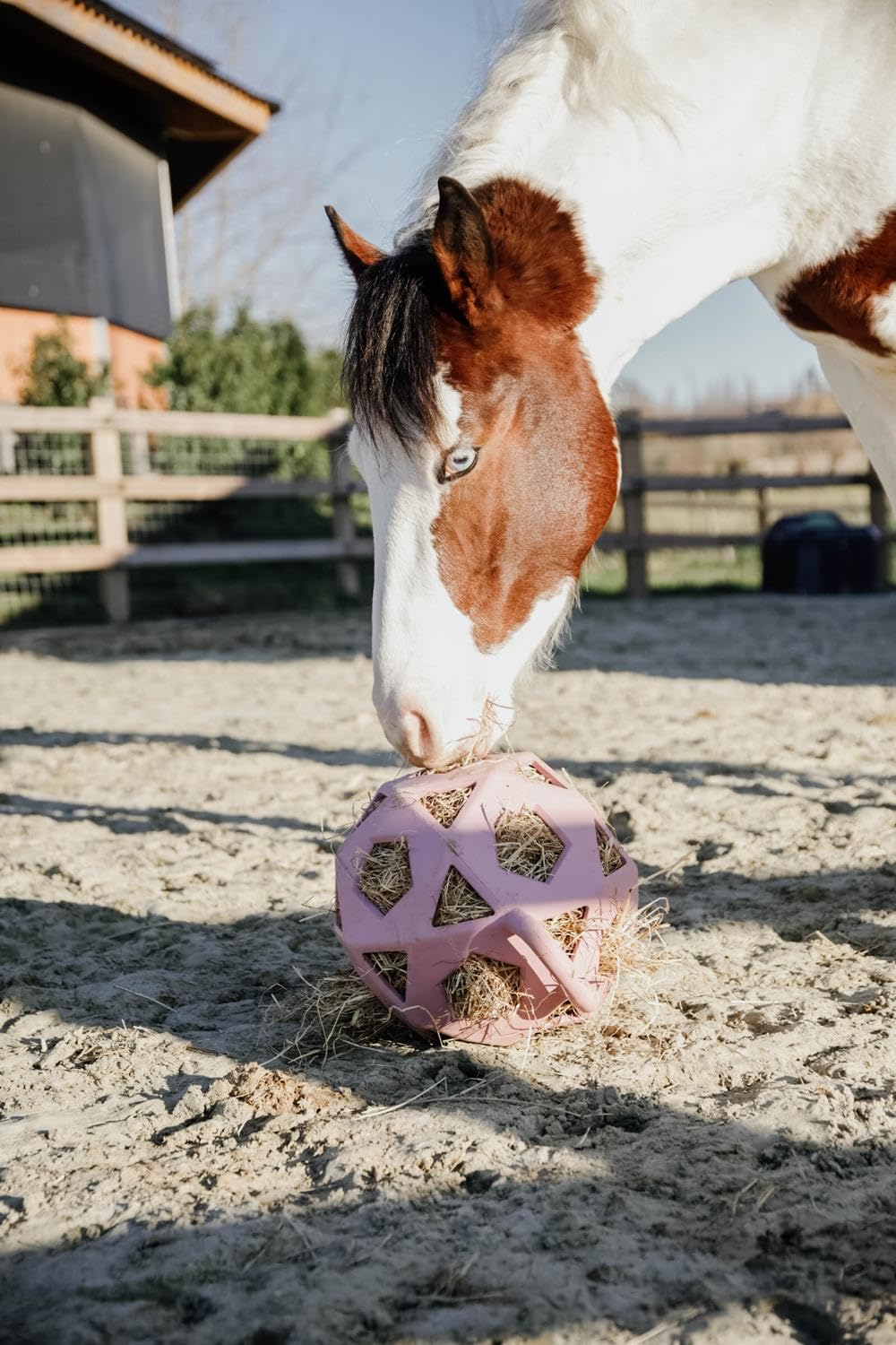 Kentucky - Relax Horse Spiel & Heuball alt rosa Grösse L 40cm