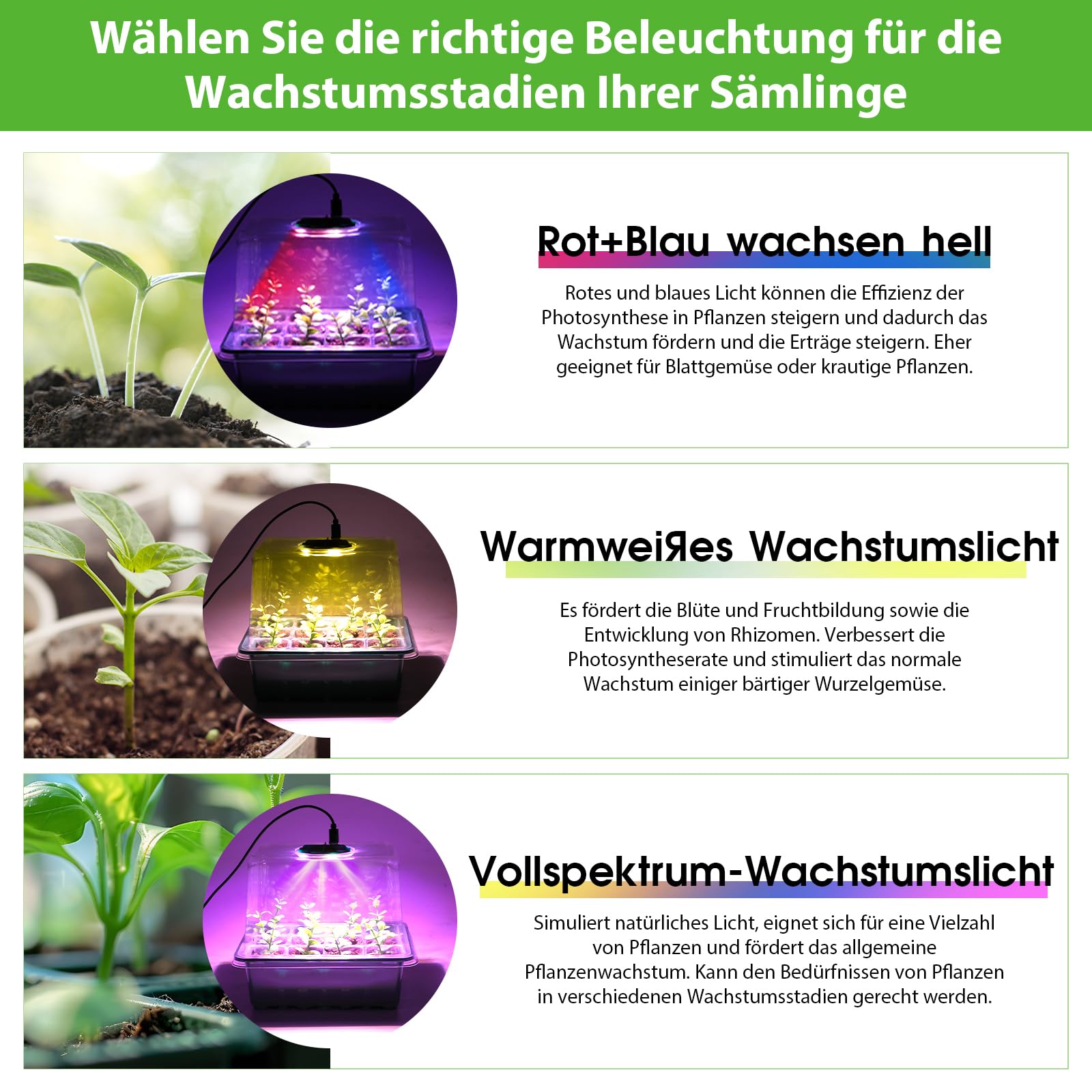 Anzuchtschale mit Wachstumslicht, 3 Lichtmodi Vollspektrum LED Pflanzenlampe, 5 Helligkeitsstufen Timer, Mini Gewächshaus für Fensterbank, Anzuchtset für Samen Kräuter Gemüse Stecklinge (6, Grün)