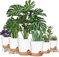 Vista 52 de GARDIFE 10/9/8 inch Plant pots, planters for Indoor Plants, self Watering Plant Pot, Flower pots, Black