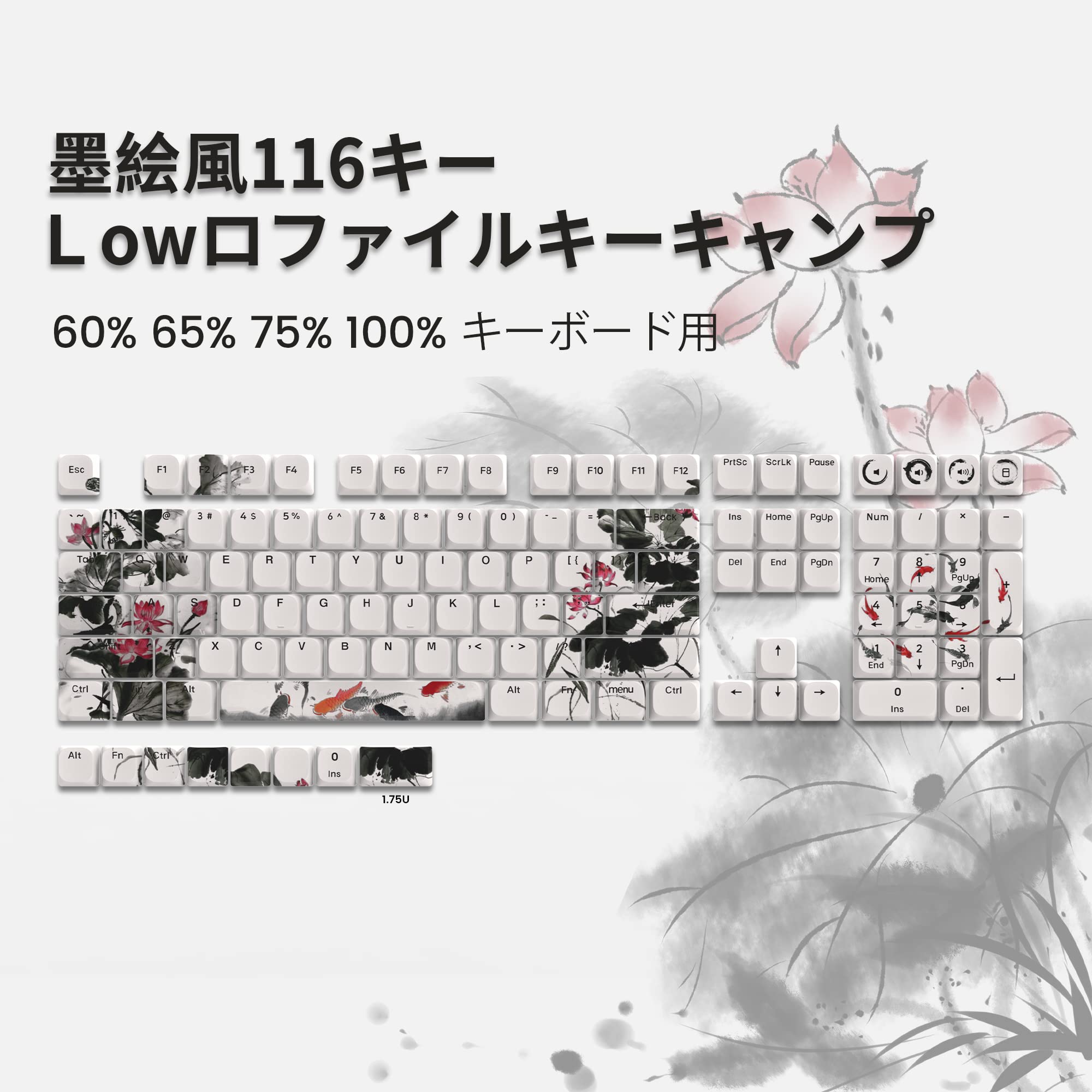 かーくん ロープロ版 roBa オプション 51CQ5DIo2ML.jpg