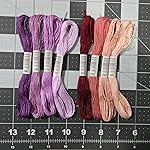 Review Image by Taylor Taylor