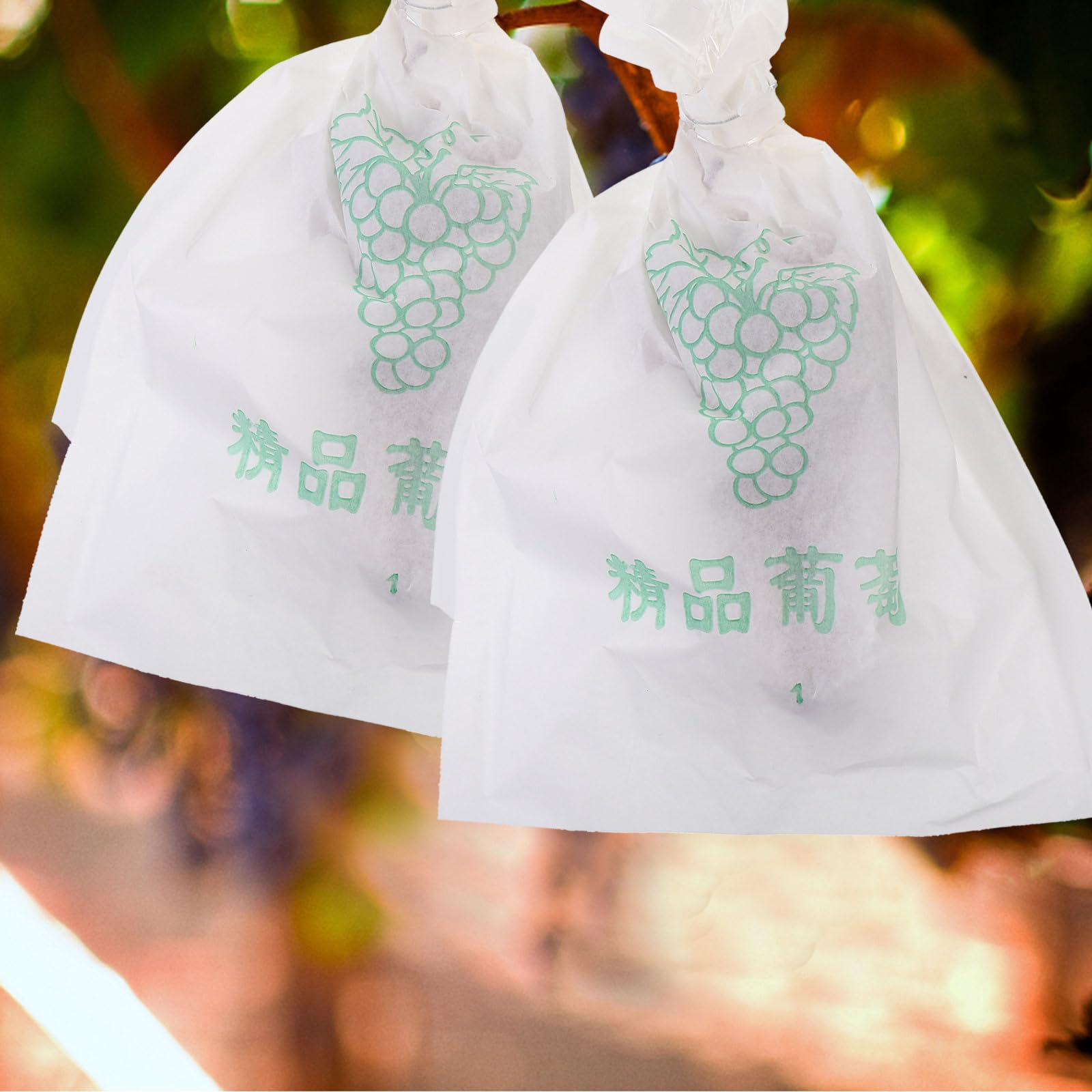 DOITOOL 100 Bolsas Protectoras de Papel Blanco para Uvas y Frutas, Bolsa Transparente para Protección contra Condiciones Meteorológicas y Aves, Adecuado para Cultivo y Jardinería