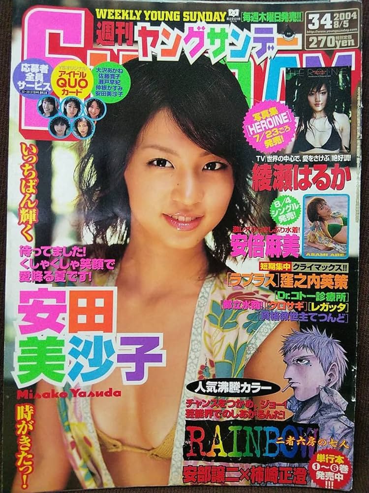 【希少】　安田美佐子のDVDセット　全29枚 安田美沙子 DVD - メルカリ