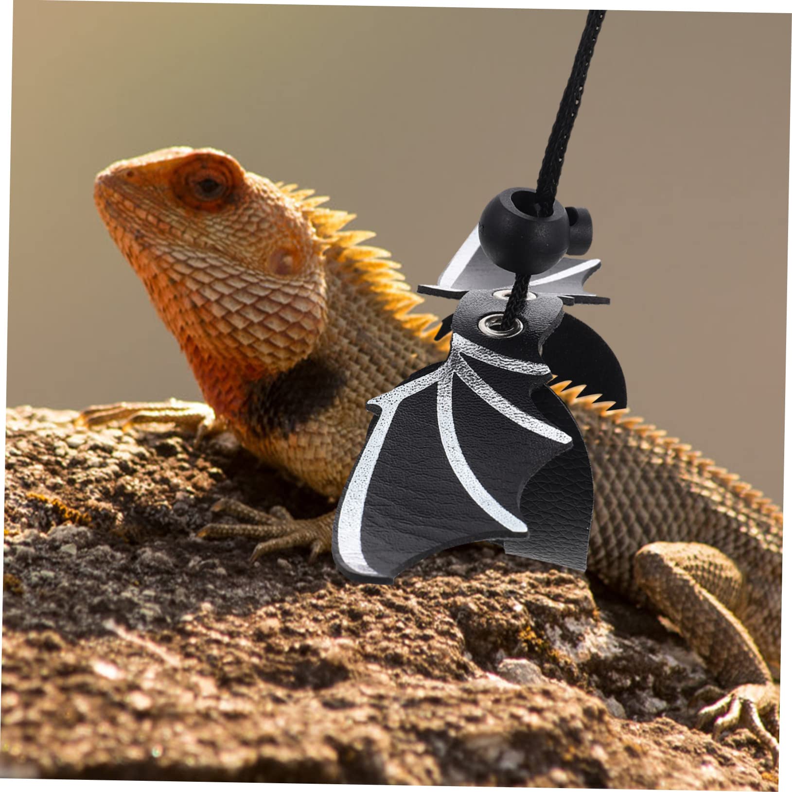 FOMIYES 5sätze Einstellbares Lizard Geschirr Mit Und Süßem Hut Für Reptilien Im Freien Umfassendes Für Mit Eidechsen Und Geckos Langlebig Und