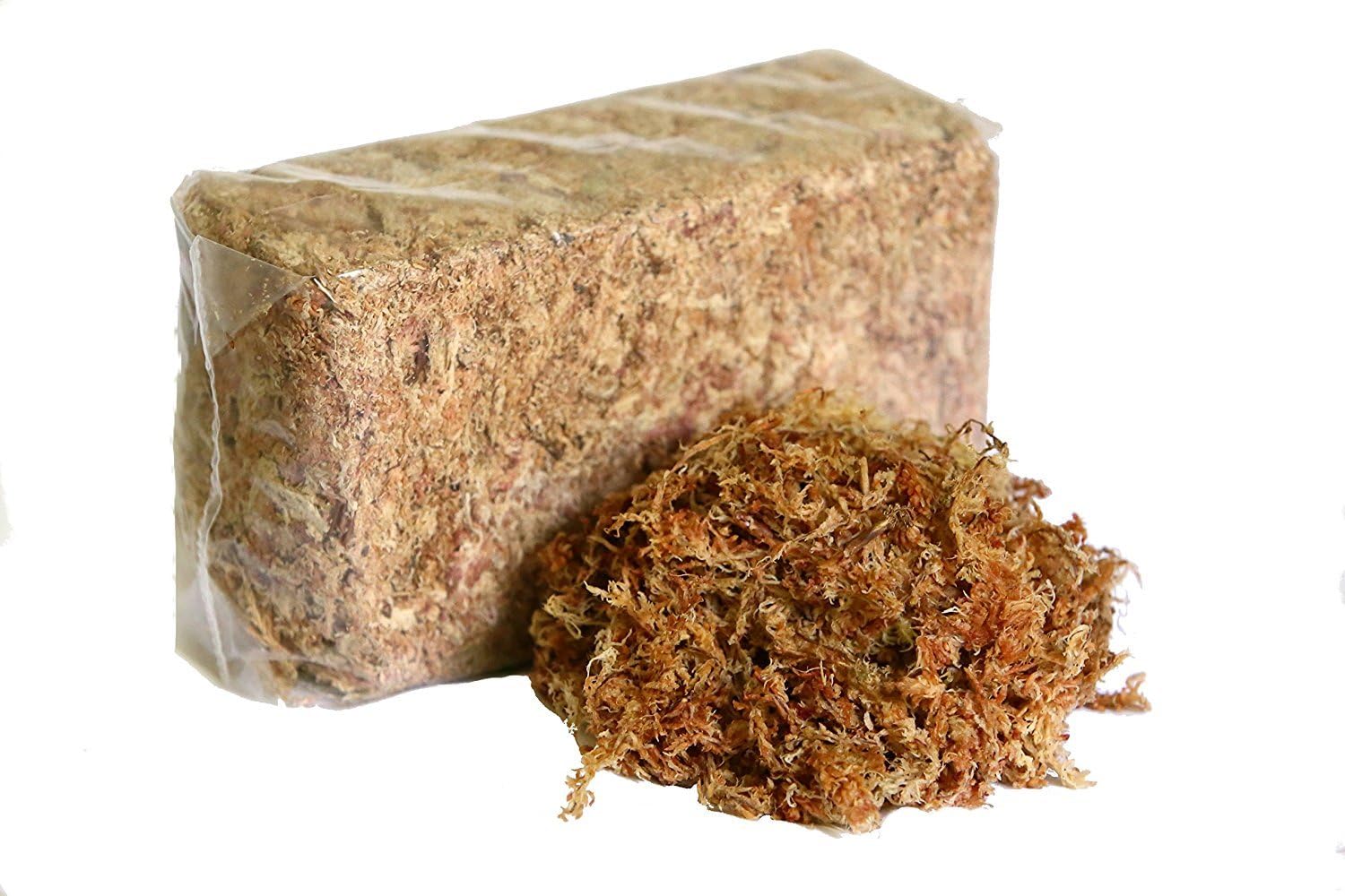 Peruvian Sphagnum Moss by Orchid Nerd ™ (Peruvian Sphagnum Moss, 500 Grams)