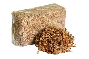 TMPeruvian Sphagnum Moss by Orchid Nerd Peruvian Sphagnum Mos, 150 Grams