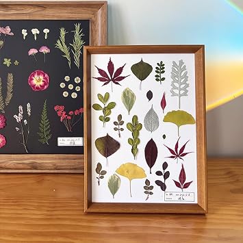 35 Pcs Dried Pressed Flowers Dry Leaves for Crafts Art DIY Floral Preserved Natural Herbs Ferns Real Dried Maple Colorful Leaves Plant Leaf for Resin Paper Making Bookmarks Autumn