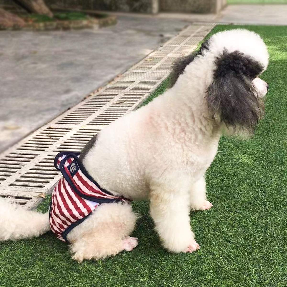 08*犬用 オムツ サニタリー ショーツ パンツ 洗える 再利用可能 Amazon | PETLESO 犬オムツ 犬用サニタリーパンツ 3枚 洗える 再
