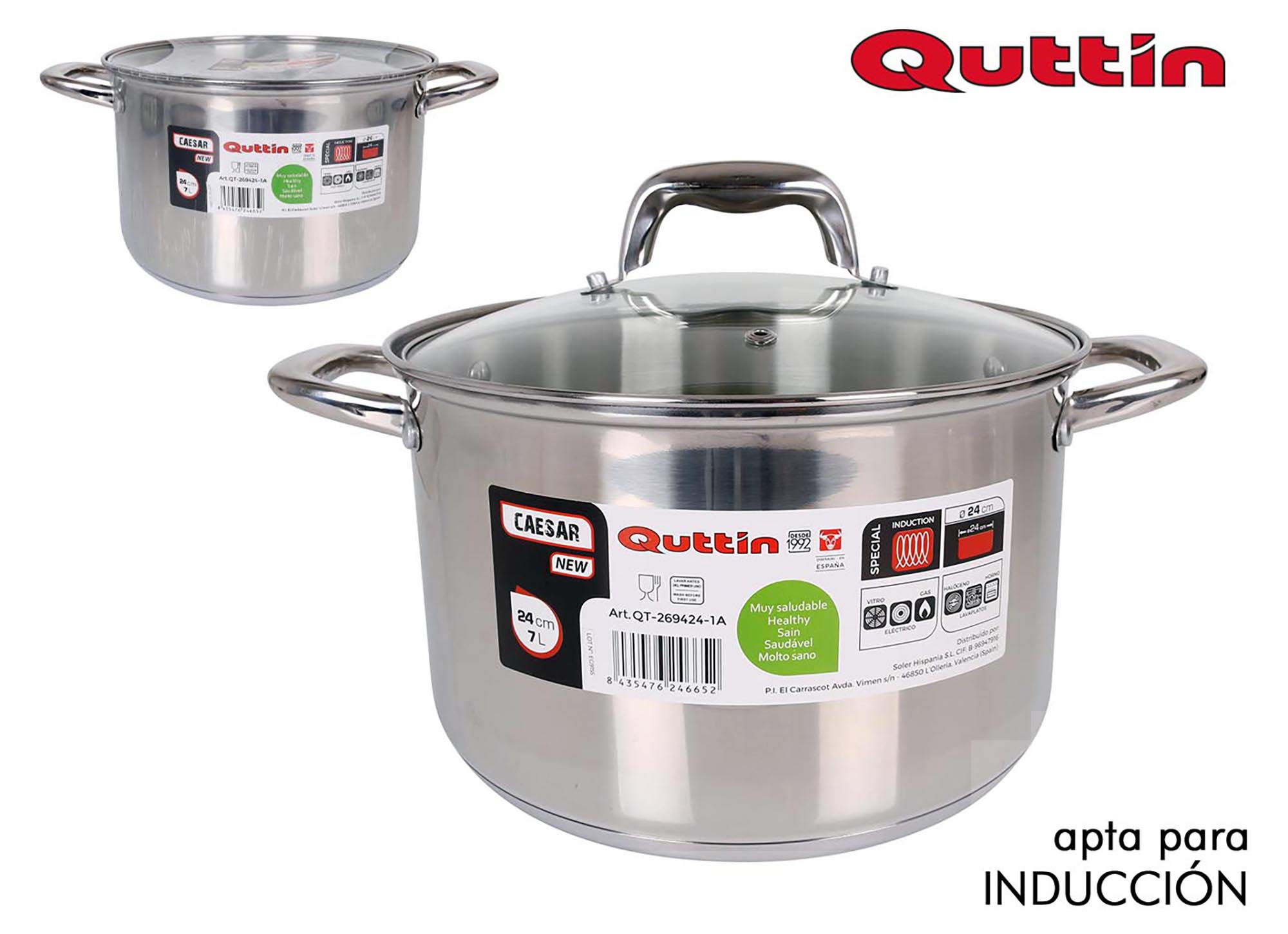 Quttin New Caesar - Olla Profesional Induccion, Cocina y Horno, Cacerola Mediana, Acero Inoxidable Antiadherente, Tapa Cristal y Asas, 24 cm/4 L