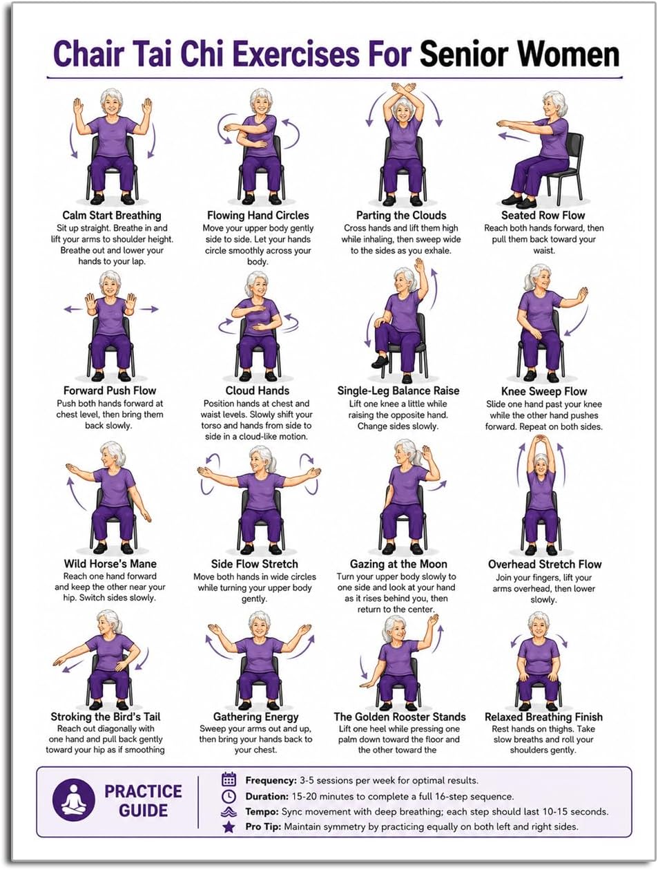 Tai Chi Chair Workout Chart for Senior Men 24" L x 16" W Unframed Chair Tai Chi Exercises Poster, 16-Step Gentle Seated Movement Visual Guide for Older Men, Mobility Balance Relaxation