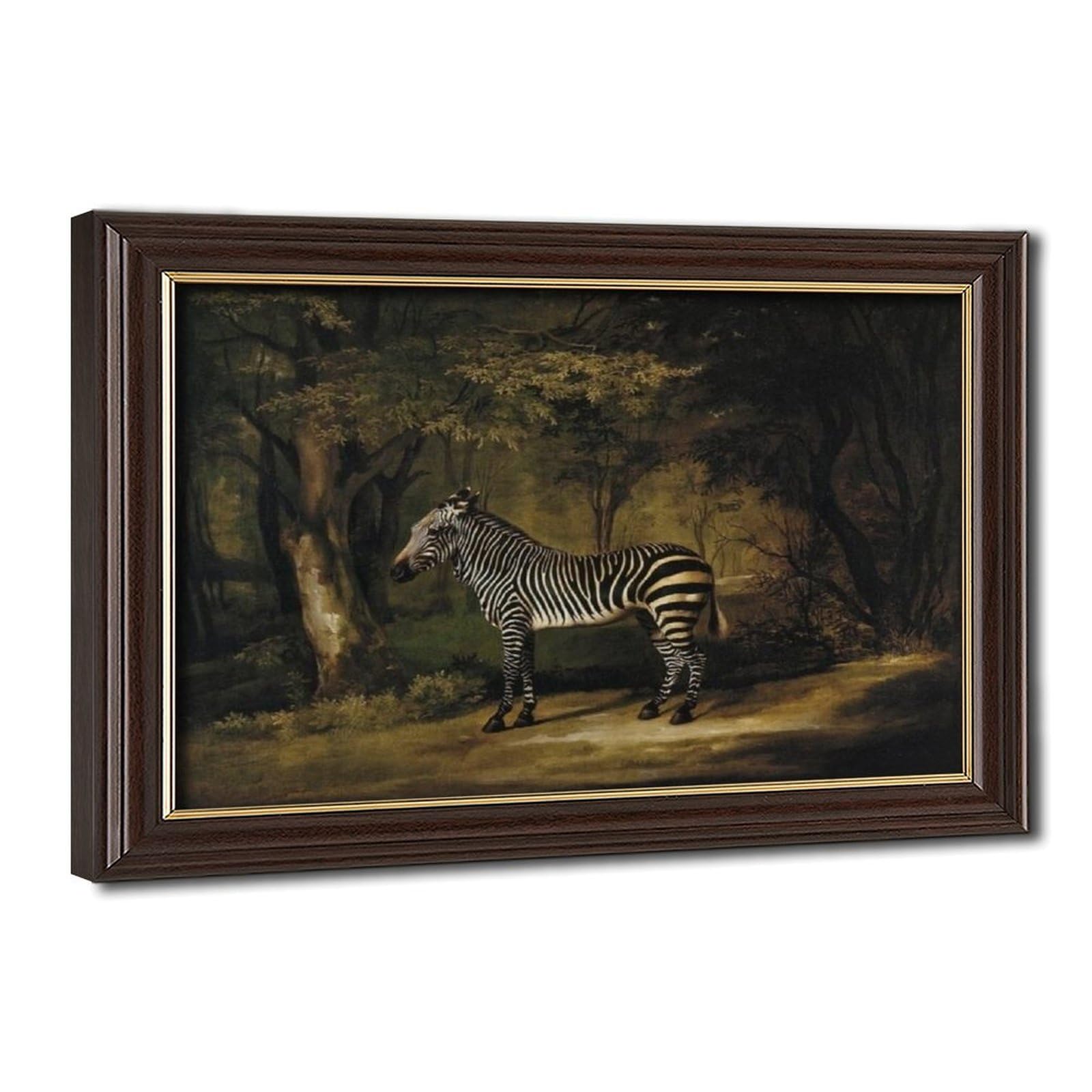WCYB Zebra by George Stubbs Posters Prints Canvas Deco Paintings Wall Art Hangable Frame 8" L X 12" W