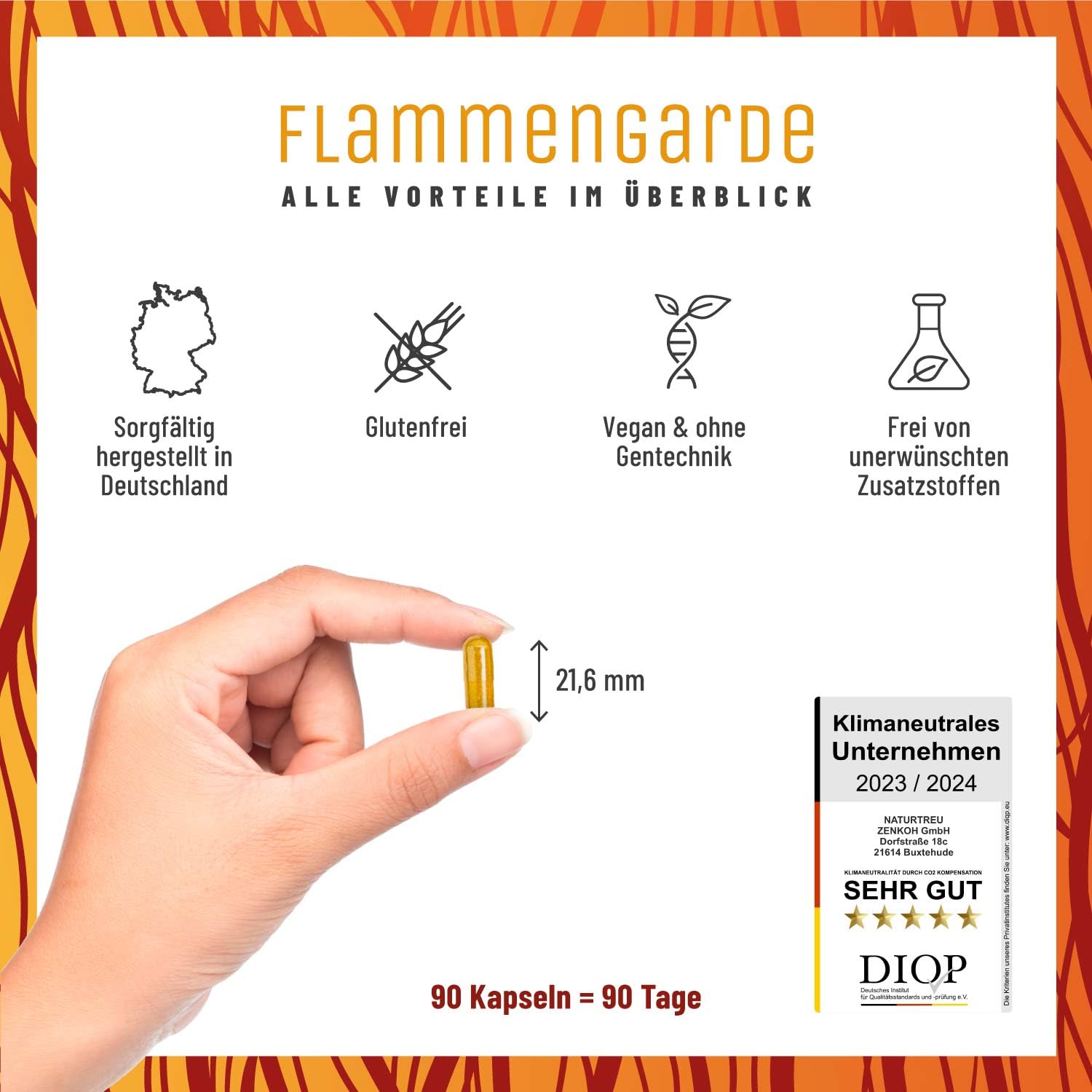 Weihrauch Kurkuma Ingwer Kapseln Hochdosiert - 166,7 mg Boswelliasäure, 133,3 mg Curcumin, Zimt, Gingerol & Piperin - Ohne chemische Entzündungshemmer oder Gelenkkapseln