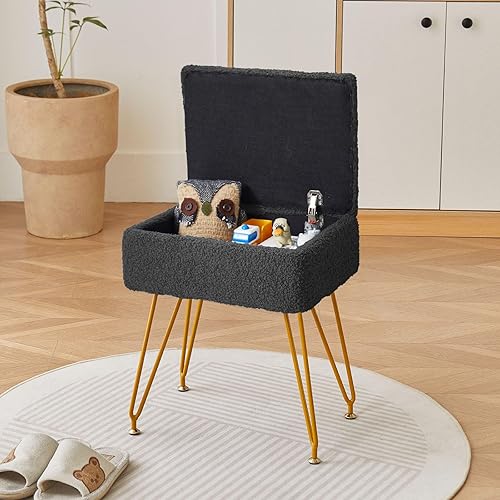 BMWEI Taburete ajustable, silla de maquillaje de altura redonda, taburete otomano de almacenamiento, taburete de tocador pequeño giratorio de 360 de