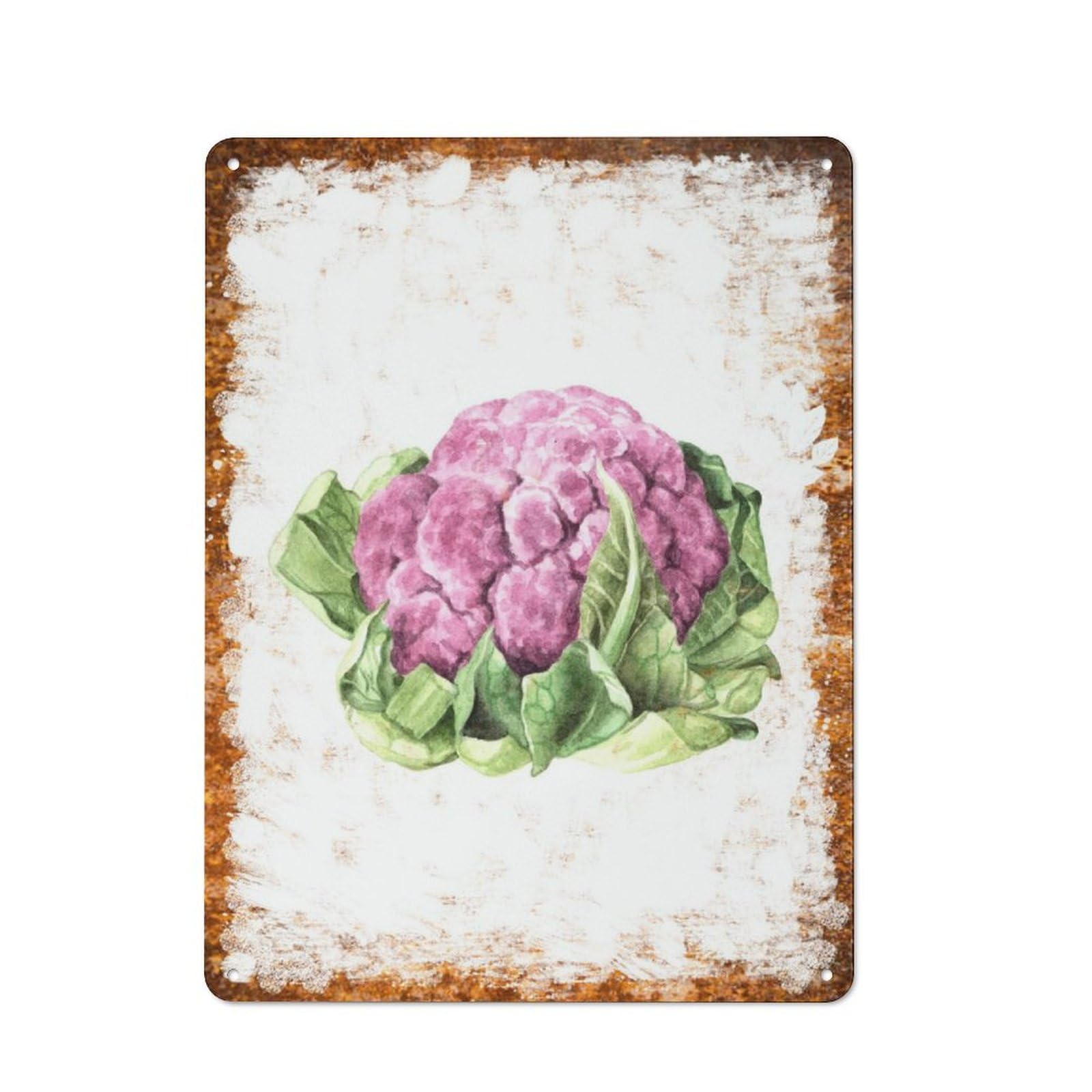 Metal Tin Sign Cauliflower Minimalist Watercolor Pattern Vintage Rustic Wall Art Kitchen Bathroom Bedroom Living Room Cafe Farmhouse Office Garage Home Bar Laundry Room Porch Patio 12x16 Inch