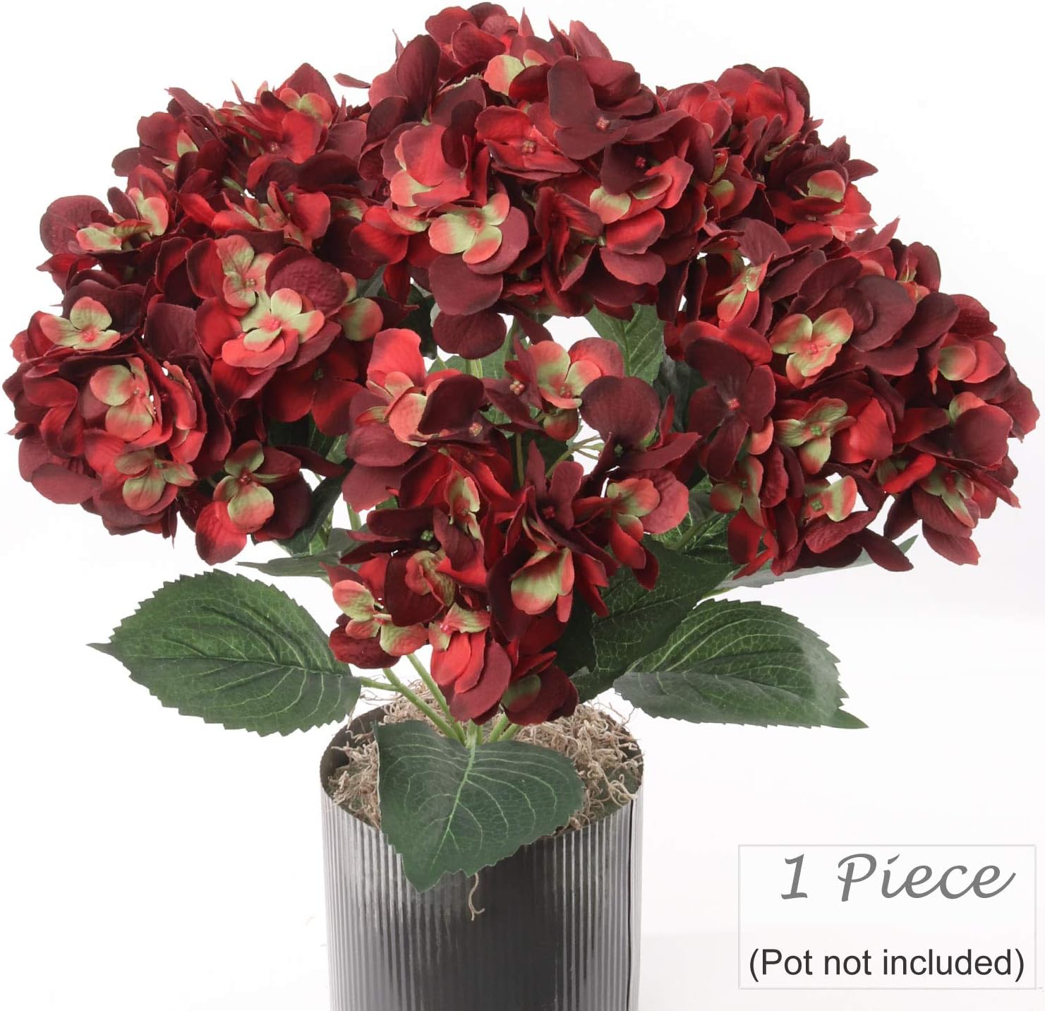 Larksilk 20" Hygrangrea Bush (Burgundy, 1 Piece)