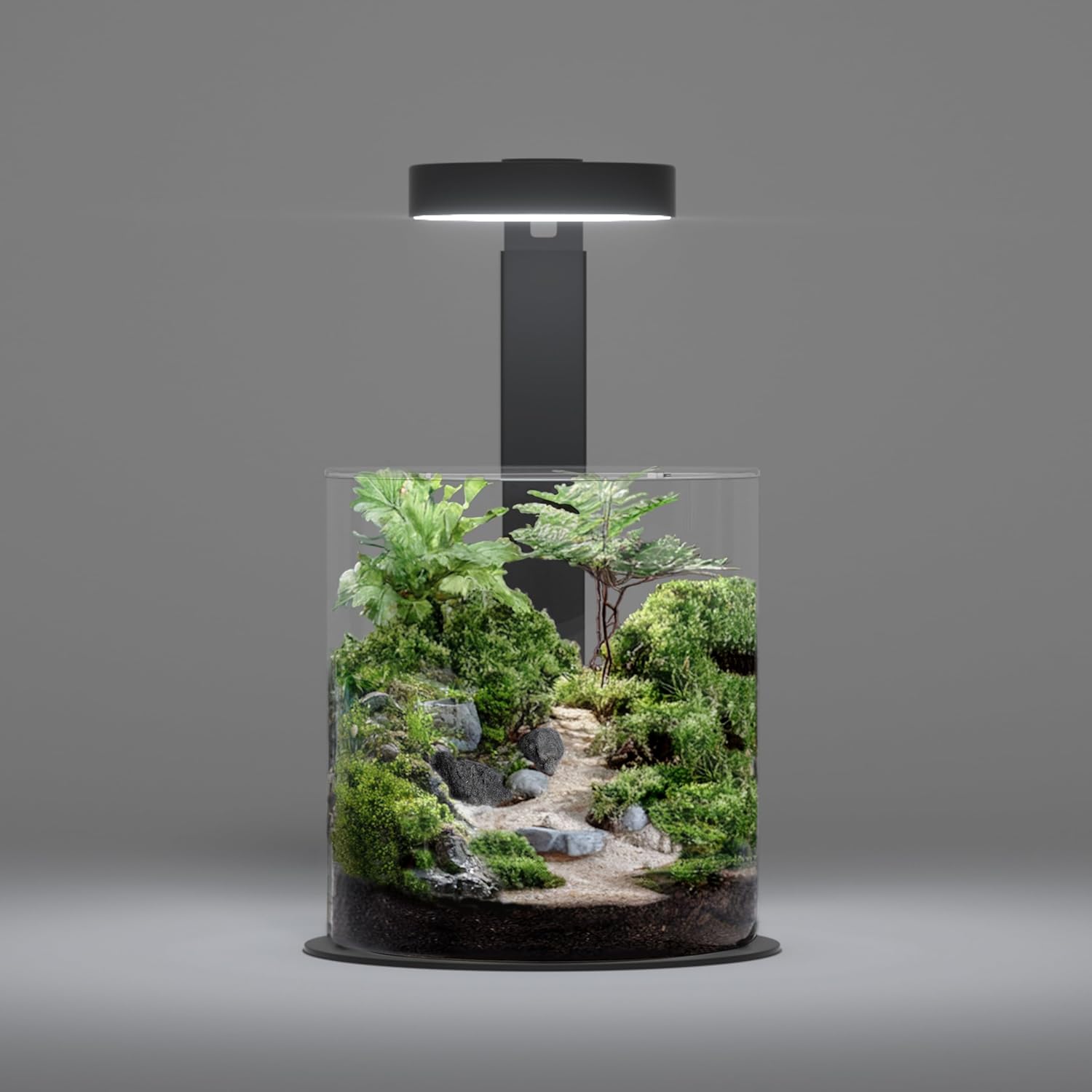 LANDEN Miniature Terrarium Glass Jar Kit – Complete DIY Mini Landscape Set with Ultra-Clear Glass Container, LED Light, Decorative Stones & Planting Tools – Ideal for Home Decor, Gifts & Hobbyists