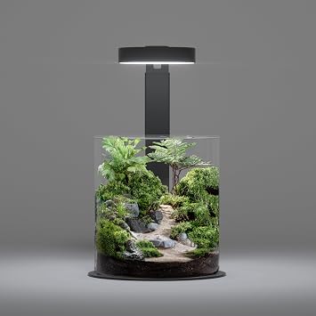 LANDEN Miniature Terrarium Glass Jar Kit Complete DIY Mini Landscape Set with Ultra-Clear Glass Container, LED Light, Decorative Stones & Planting Tools Ideal for Home Decor, Gifts & Hobbyists