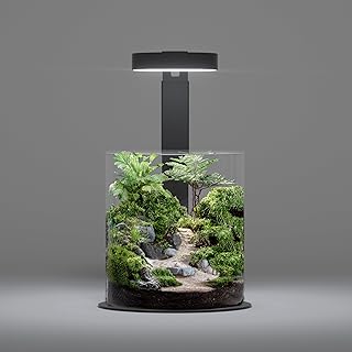 LANDEN Miniature Terrarium Glass Jar Kit