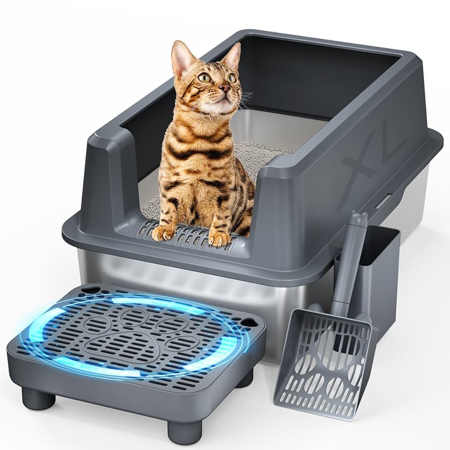 Enclosed Litter Box for Cats: Ultimate Odor Control Solution