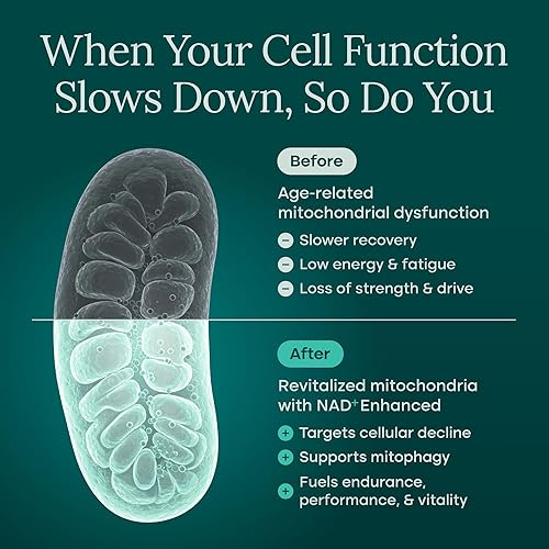 Miniatura 6 de Suplemento liposomal NAD+ con resveratrol, urolitina A, CoQ10 y Giloy (hecho y probado en Estados Unidos) Suplemento NAD para energía celular,
