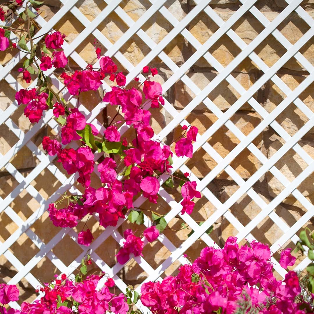 Nortene | Celosia PVC 48 Mm 1x2 M Blanco | Decoración Exterior | Cerramientos Ambientes Modernos