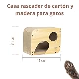 Ver la foto 5