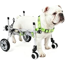 4-Wheel Dog Wheelchair for Back Legs - Switch Between 2 & 4-Wheel Modes, Helps Pets Walk Run and Play Again, Suitable for Small/Medium Pets Under 16.5 lbs M HPWC-4WM