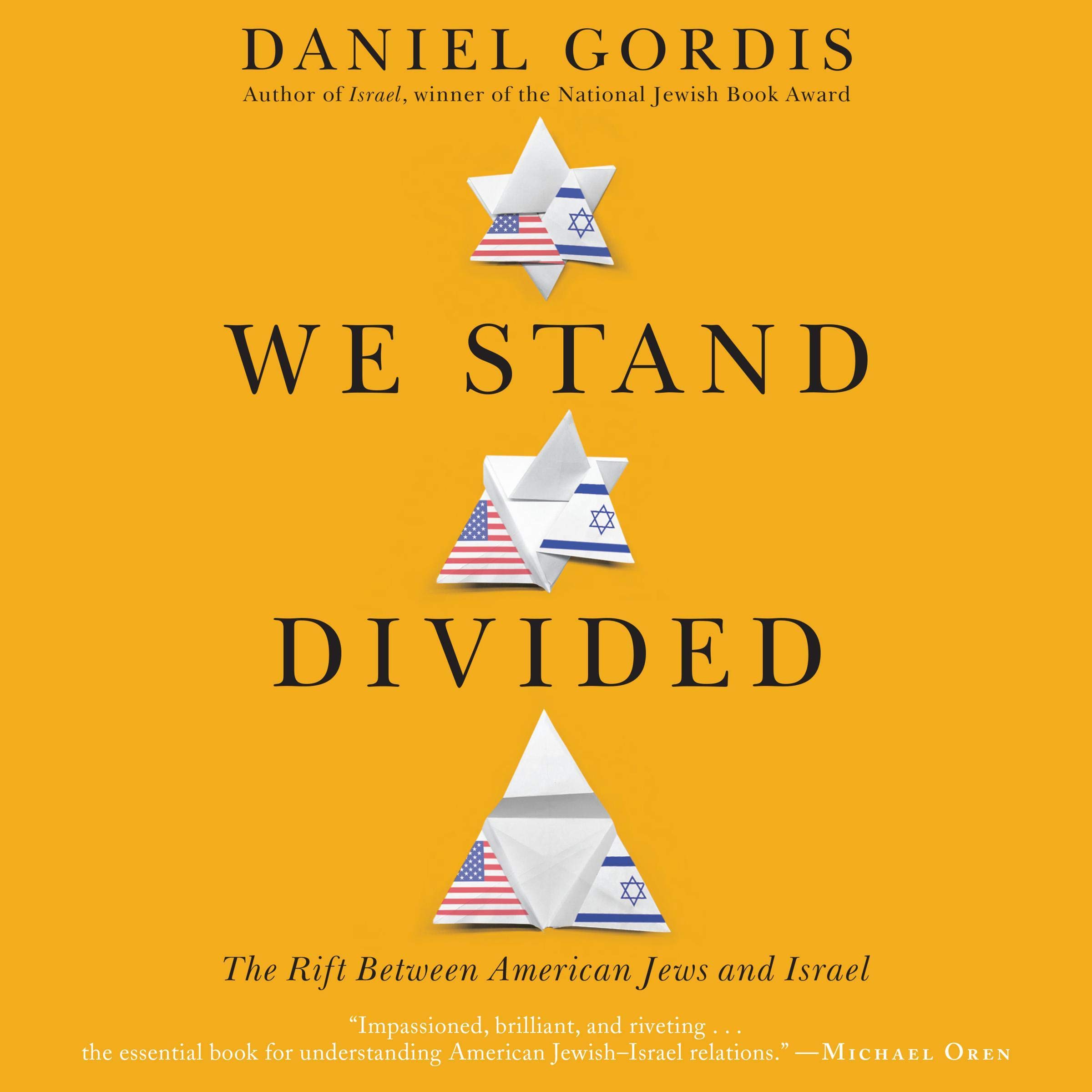 Cover art for We Stand Divided