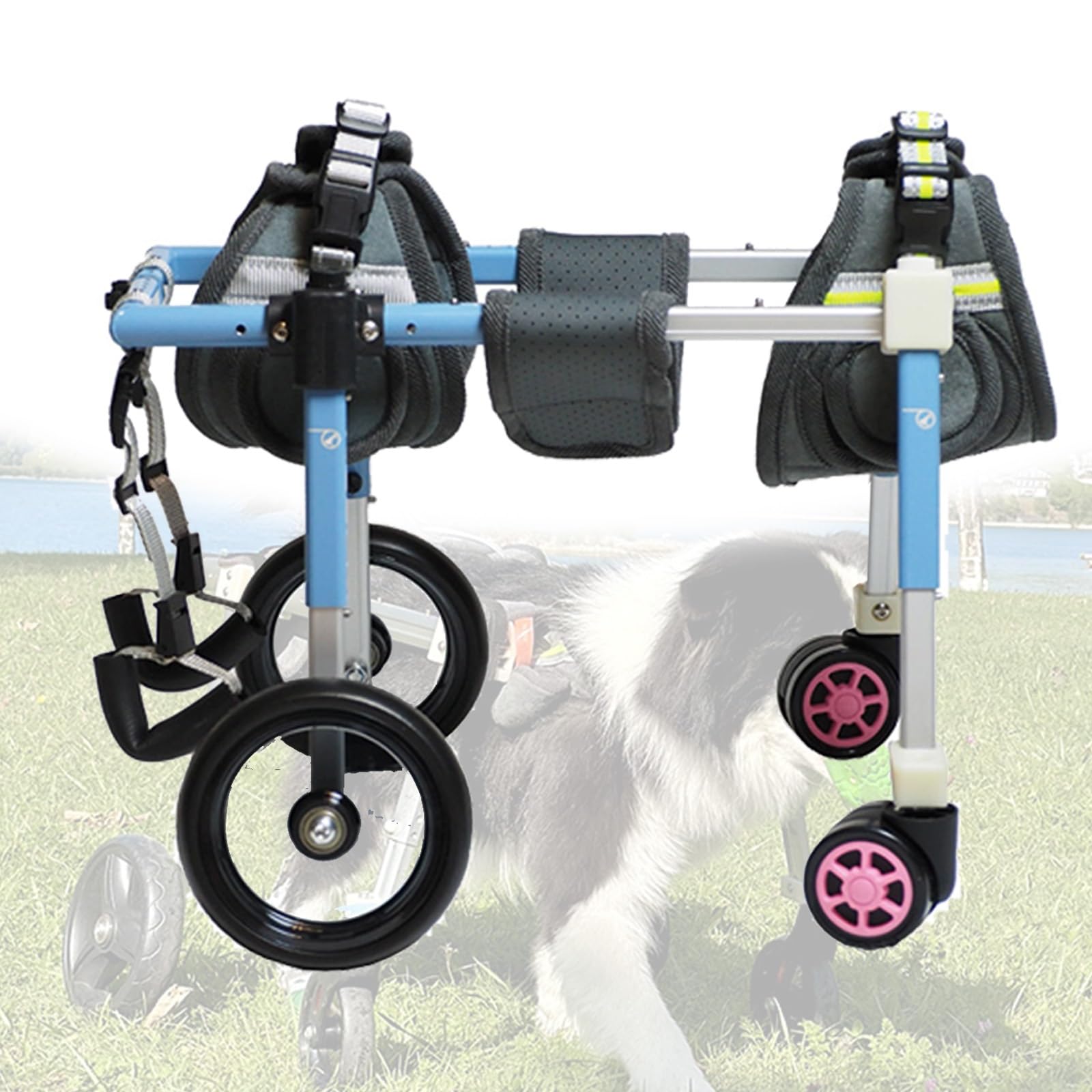 Chariot de marche pour chien bleu S idéal pour les balades