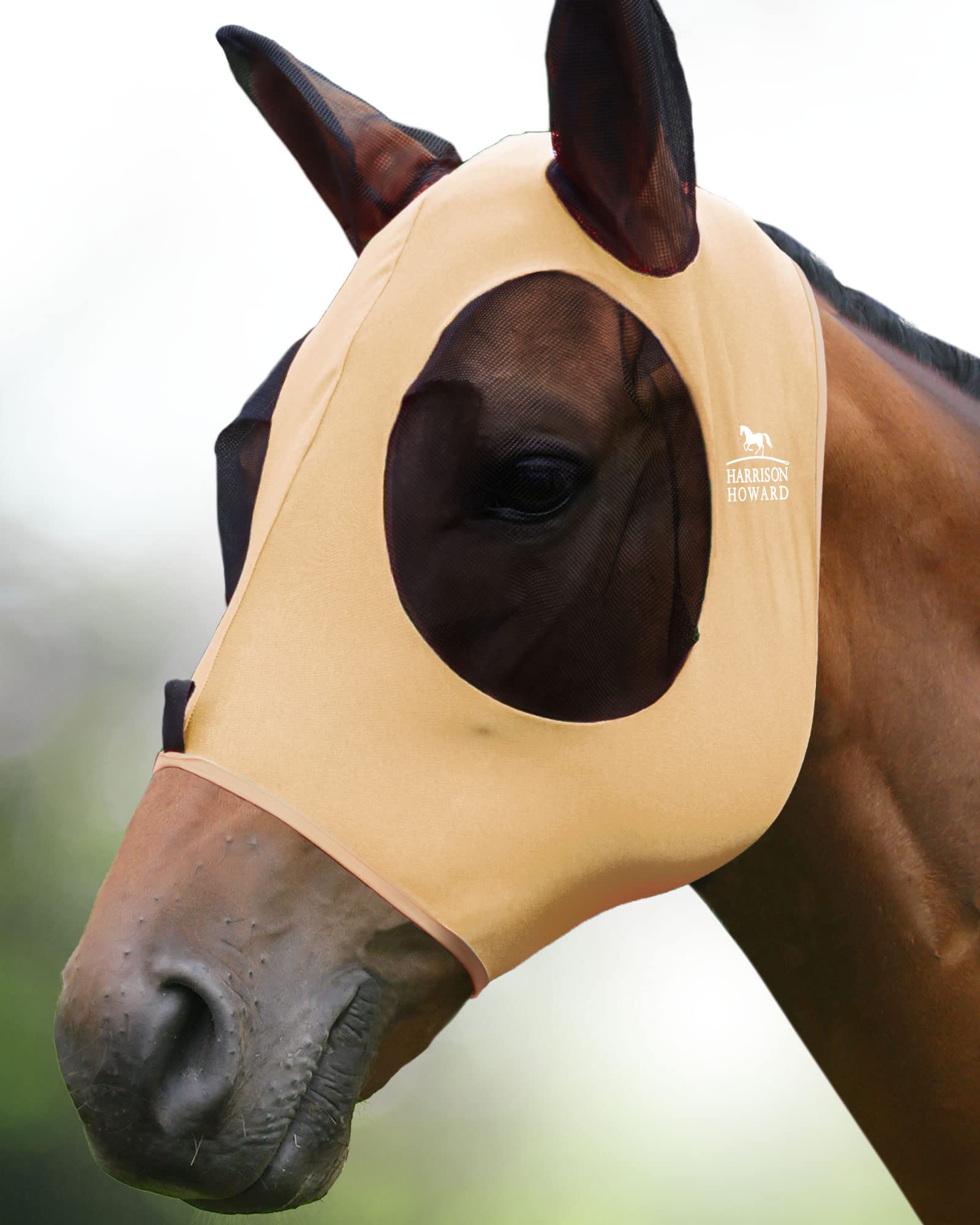 Harrison Howard Super Comfort Stretchy Fly Mask Large Eye Space with UV Protection Soft on Skin with Breathability Champagne Gold M Cob