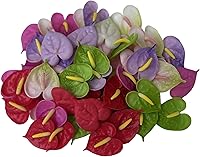 60PCS Mixed Color Anthurium Thai Clay Beads 2cm - Flower Beads for Jewelry Making DIY Crafts Beginners & Pros