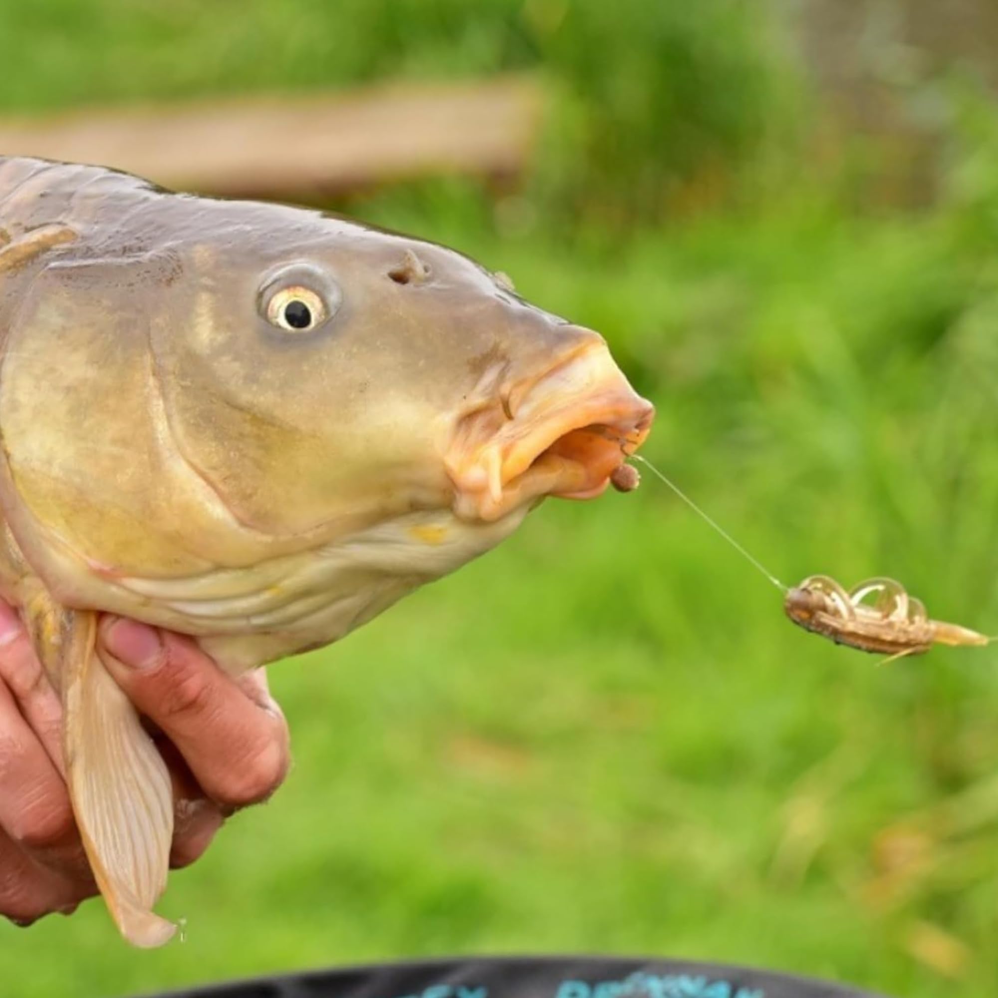 PRO FILSTAR Method Feeder Haken Set 10 Stück – Größe 8, Monofilament Vorfach 10 Cm, Ø 0,22 Mm, Scharfe Carbon-Haken, Ideal Für Karpfen Und Große Fische PRO FILSTAR Method Feeder Haken Set 10 Stück – Größe 8, Monofilament Vorfach 10 Cm, Ø 0,22 Mm, Scharfe Carbon-Haken, Ideal Für Karpfen Und Große Fische
