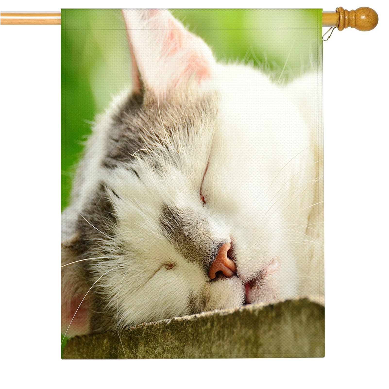 Bandera de arpillera de gato resistente al clima para decoración exterior