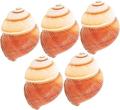 CIMAXIC 5 peças concha de caracol francês decoração francesa caranguejo eremita comida Escargots talheres concha comida placa de cozimento conchas de frutos do mar concha de caracol natural concha decorativa Escargot conchas de caracol natural
