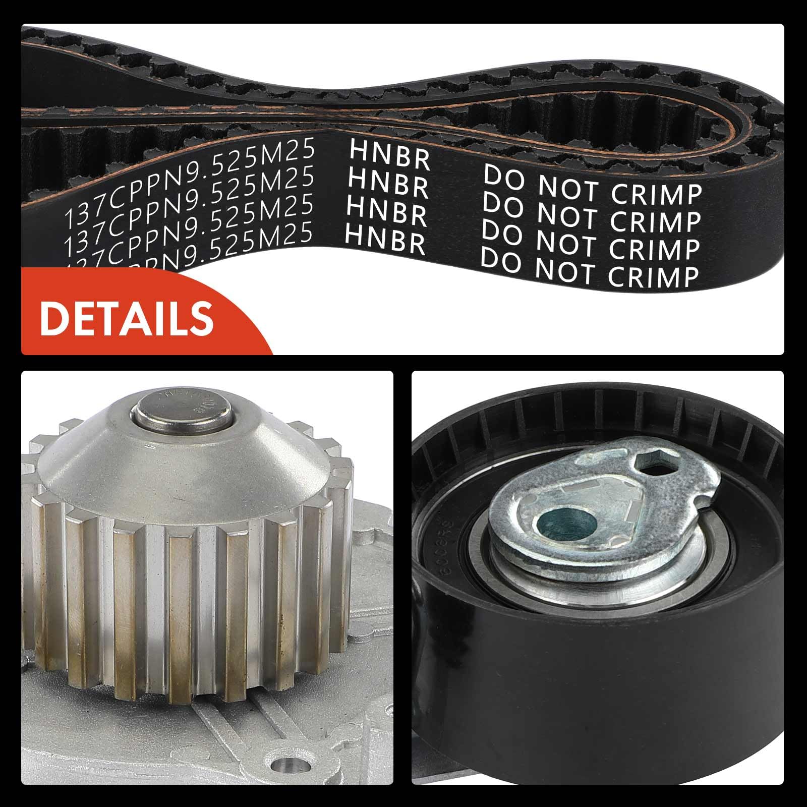 Frankberg Kit de correa de distribución correa de distribución bomba de | Compatible con: VF7 nervioso, Berlingo/Berlingo Primer monovolumen GFK GJK MF, C3 II SC, Berlingo Box/MPV B9